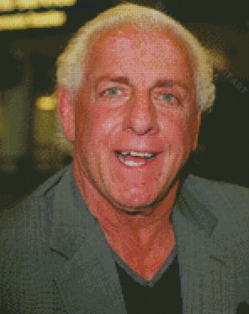 Wrestler Ric Flair Diamond Paintings