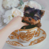 Yorkie Teacup Dog Diamond Paintings