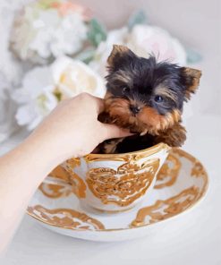 Yorkie Teacup Dog Diamond Paintings