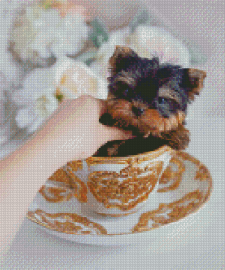 Yorkie Teacup Dog Diamond Paintings