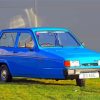 Blue Robin Reliant Diamond Paintings