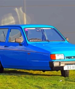 Blue Robin Reliant Diamond Paintings