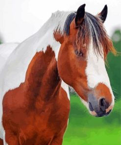 Brown And White Pinto Horse Diamond Paintings