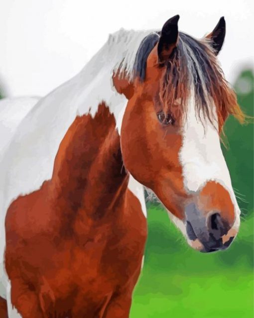 Brown And White Pinto Horse Diamond Paintings