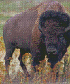 Buffalo Diamond Paintings