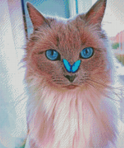 Cat With Butterfly On Nose Diamond Paintings