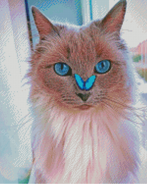 Cat With Butterfly On Nose Diamond Paintings