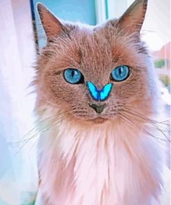 Cat With Butterfly On Nose Diamond Paintings