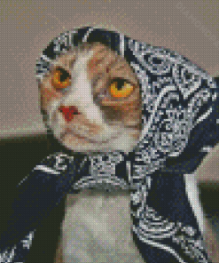 Cat With Scarf Diamond Paintings