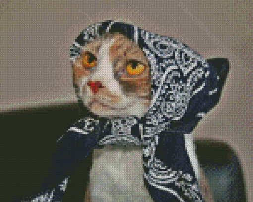 Cat With Scarf Diamond Paintings