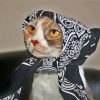 Cat With Scarf Diamond Paintings