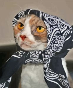 Cat With Scarf Diamond Paintings