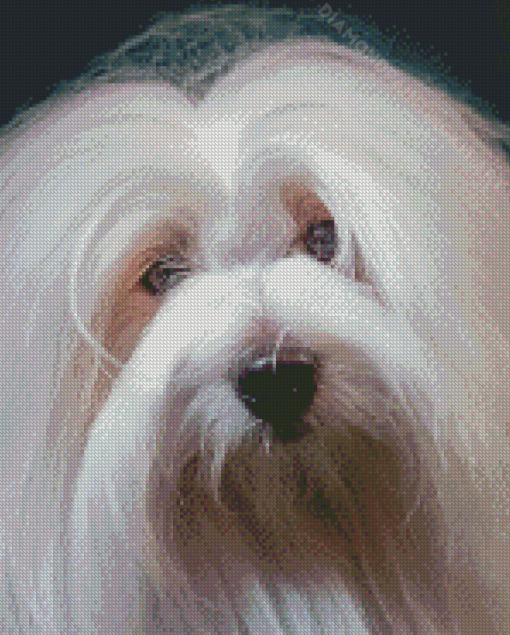 Cotton Tulear Diamond Paintings