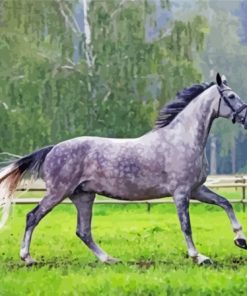 Dark Grey Horse Diamond Paintings