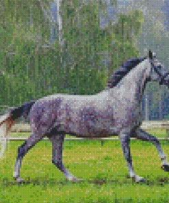 Dark Grey Horse Diamond Paintings