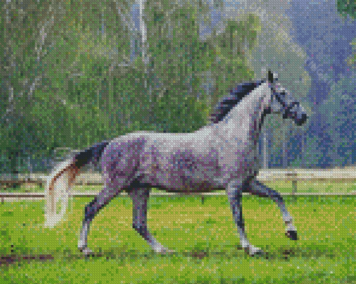 Dark Grey Horse Diamond Paintings