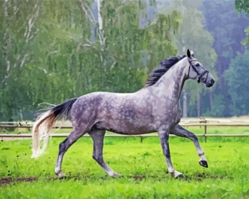 Dark Grey Horse Diamond Paintings