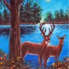 Deer Couple In The Moonlight Diamond Paintings