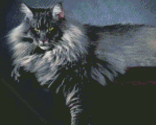 Fluffy Long Hair Grey Cat Diamond Paintings