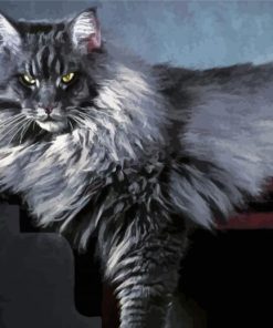 Fluffy Long Hair Grey Cat Diamond Paintings