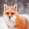 Fox Snow Diamond Paintings