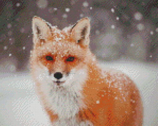 Fox Snow Diamond Paintings