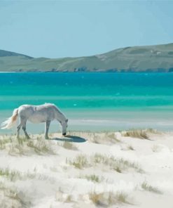 Horse In Luskintyre Beach Diamond Paintings