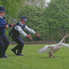 Hot Fuzz Characters And Bird Diamond Paintings