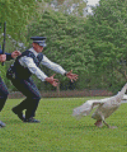 Hot Fuzz Characters And Bird Diamond Paintings