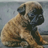 Jug Dog Puppy Diamond Paintings