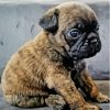 Jug Dog Puppy Diamond Paintings