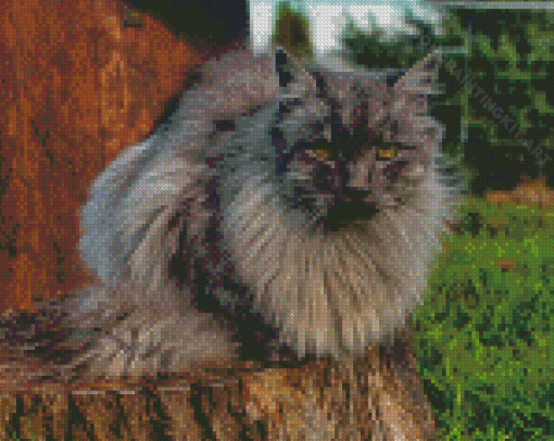 Long Hair Grey Cat Sitting On Wood Diamond Paintings