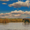 Lower Zambezi National Park Zambia Diamond Paintings