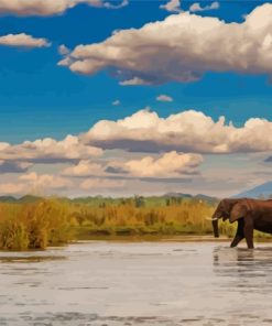 Lower Zambezi National Park Zambia Diamond Paintings