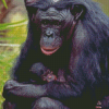 Mom Chimpanzee Diamond Paintings