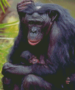 Mom Chimpanzee Diamond Paintings