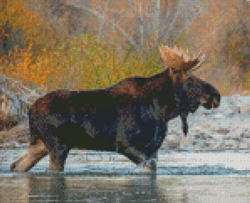 Moose Animal In River Diamond Paintings