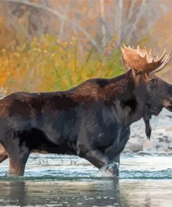 Moose Animal In River Diamond Paintings