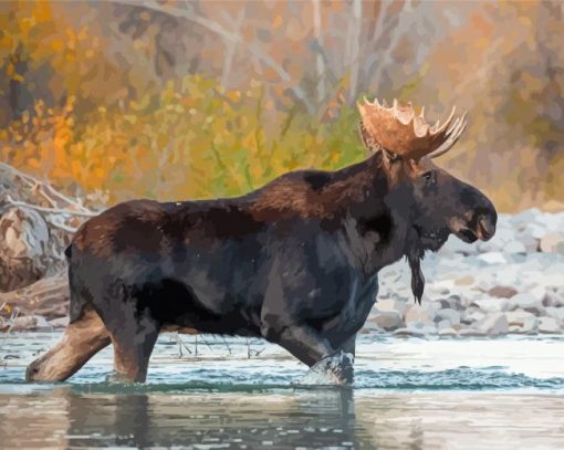 Moose Animal In River Diamond Paintings