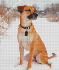 Mountain Cur Dogs Diamond Paintings