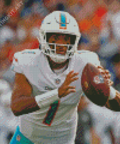 NFL Miami Dolphins Player Diamond Paintings