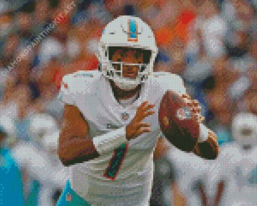 NFL Miami Dolphins Player Diamond Paintings