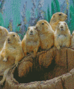 Prairie Dogs Animals Diamond Paintings