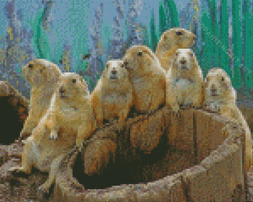 Prairie Dogs Animals Diamond Paintings