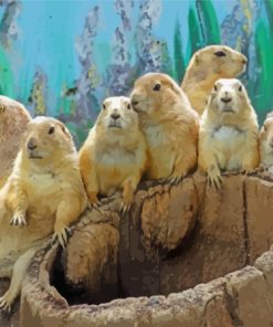 Prairie Dogs Animals Diamond Paintings