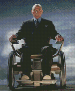 Professor Xavier Diamond Paintings