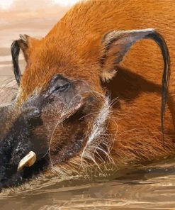 Red River Hog Swimming Diamond Paintings