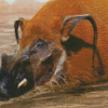 Red River Hog Swimming Diamond Paintings