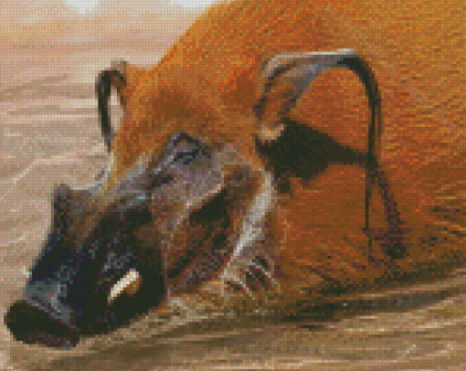 Red River Hog Swimming Diamond Paintings