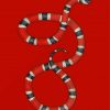 Red Snake Diamond Paintings